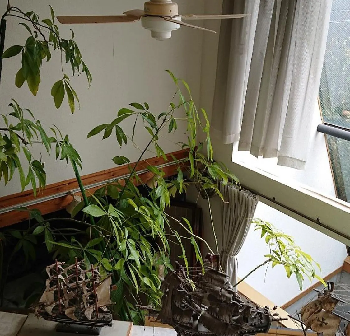 Setagaya-Ku - House - Vacation Stay 17812 طوكيو