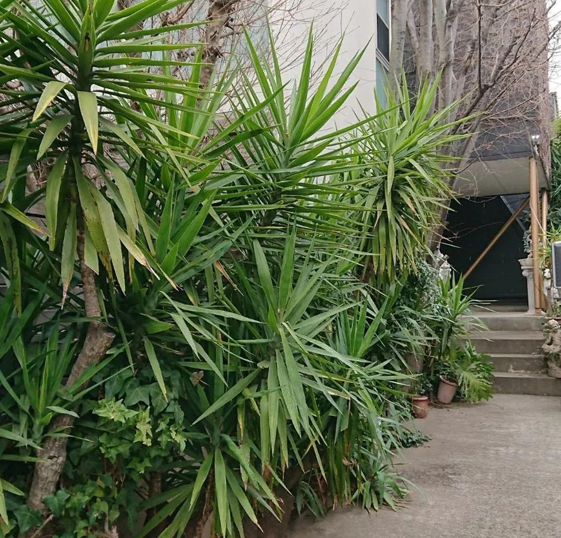 Setagaya-Ku - House - Vacation Stay 17812 طوكيو