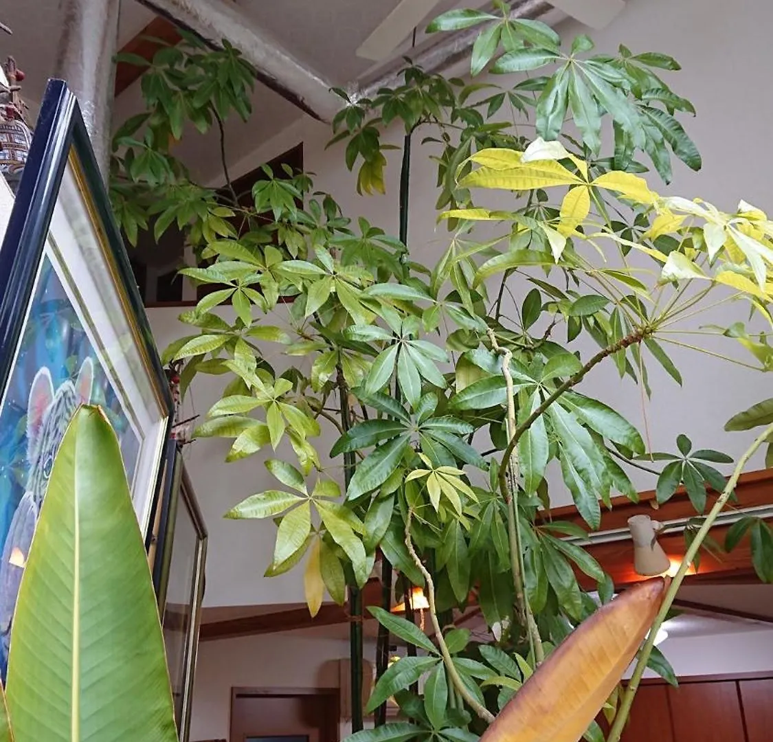 Setagaya-Ku - House - Vacation Stay 17812 طوكيو